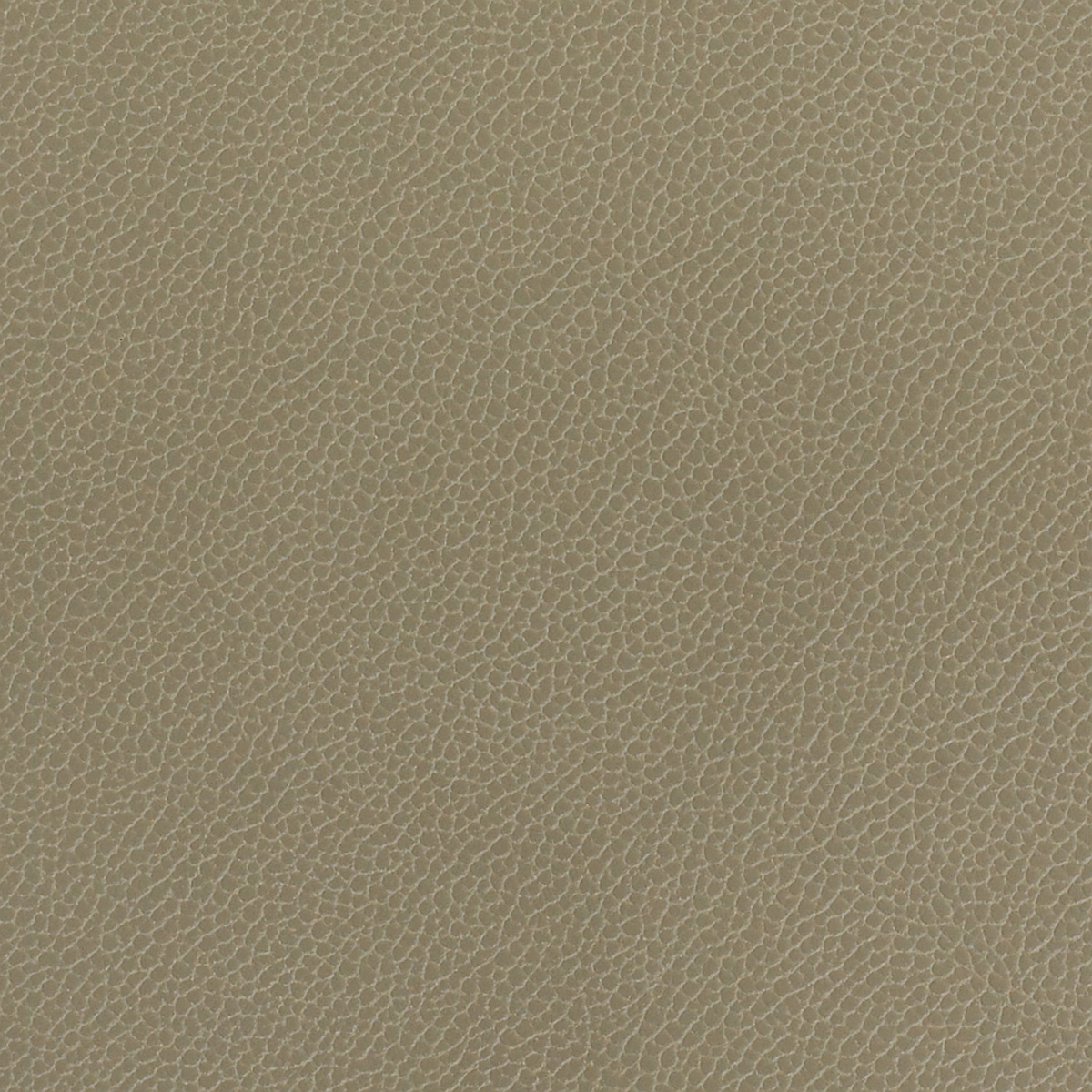 Silica Leather: Lichen(FV-SLLIC)