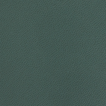 Silica Leather: Juniper(FV- SLJUN)