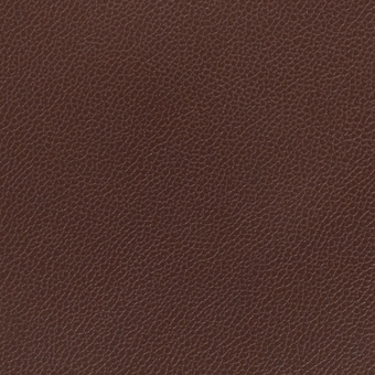 Silica Leather :Raisin(FV-SLRAI)